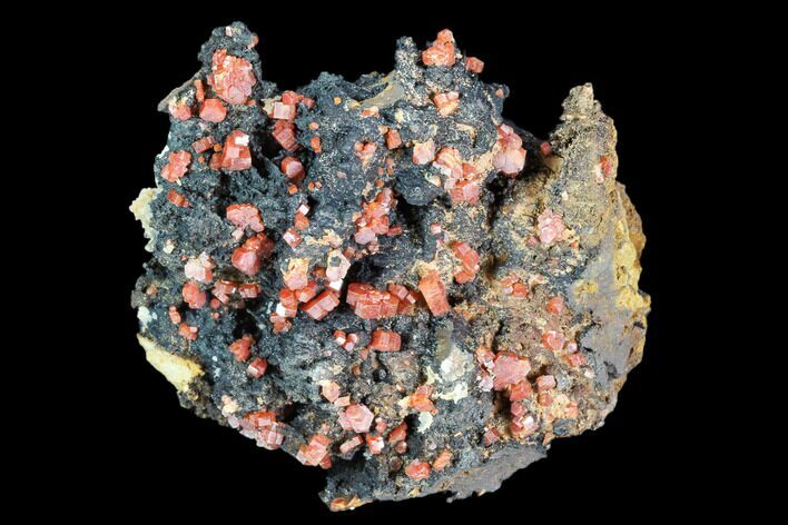 Red Vanadinite Crystals On Manganese Oxide - Morocco #103589